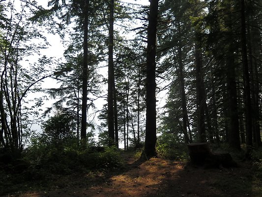 Horseshoe cove baker lake campground - 68
