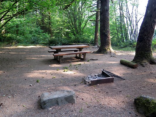 Horseshoe cove baker lake campground - 61