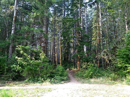 Horseshoe cove baker lake campground - 119