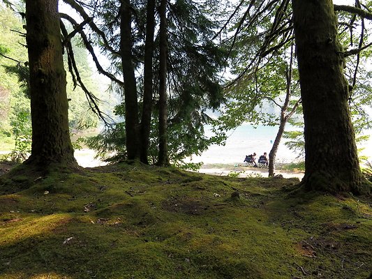 Horseshoe cove baker lake campground - 25