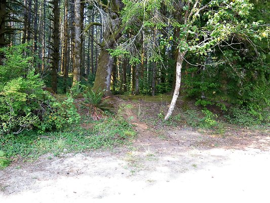 Horseshoe cove baker lake campground - 48