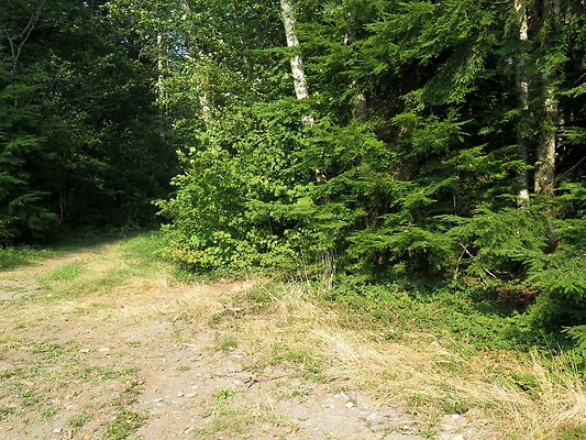 Horseshoe cove baker lake campground - 116