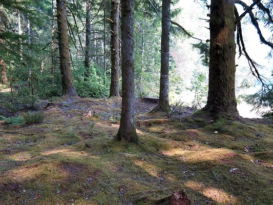 Horseshoe cove baker lake campground - 24