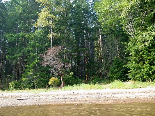 Horseshoe cove baker lake campground - 131