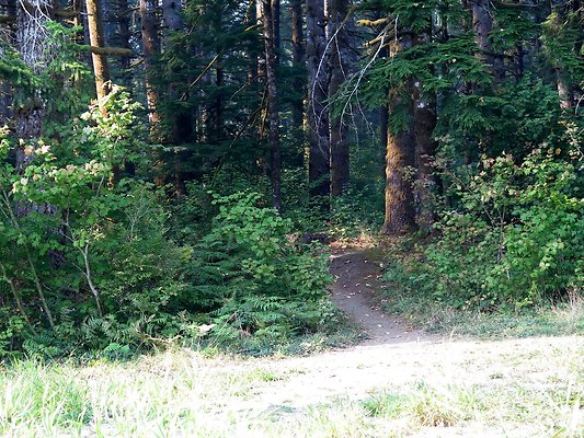 Horseshoe cove baker lake campground - 123