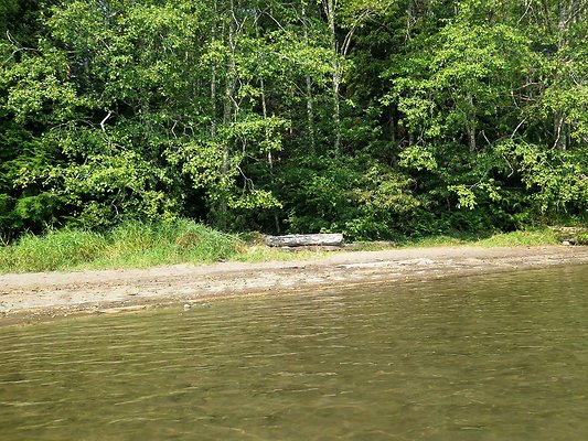 Horseshoe cove baker lake campground - 129