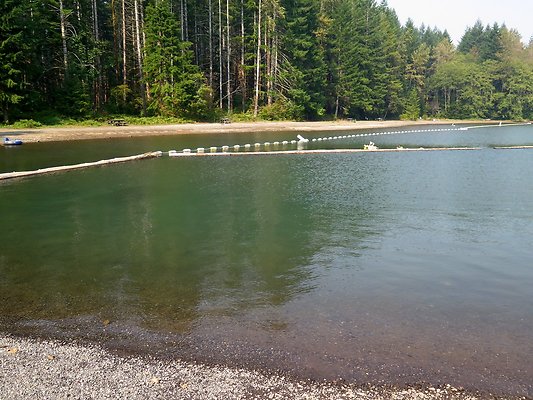 Horseshoe cove baker lake campground - 11