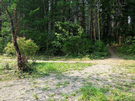 Horseshoe cove baker lake campground - 113