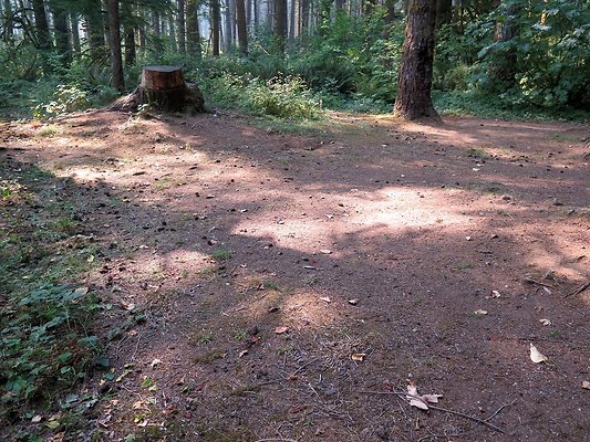 Horseshoe cove baker lake campground - 69