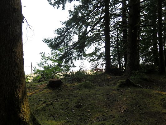 Horseshoe cove baker lake campground - 27