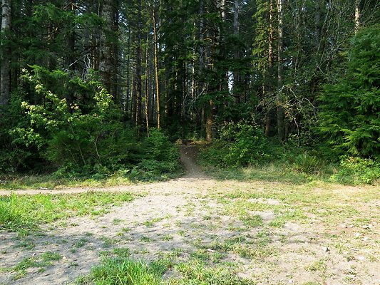 Horseshoe cove baker lake campground - 114