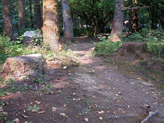 Horseshoe cove baker lake campground - 99