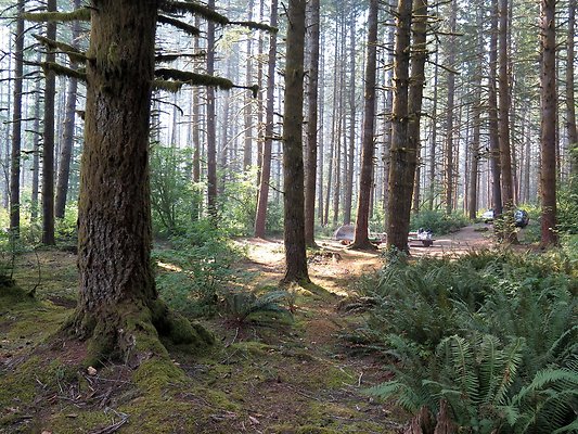 Horseshoe cove baker lake campground - 31