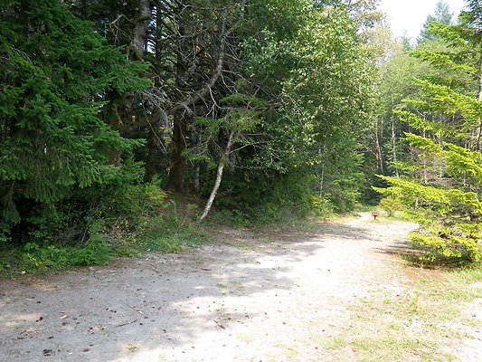 Horseshoe cove baker lake campground - 132