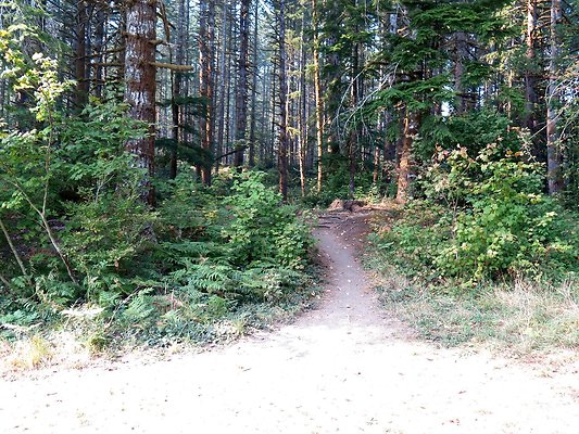 Horseshoe cove baker lake campground - 111
