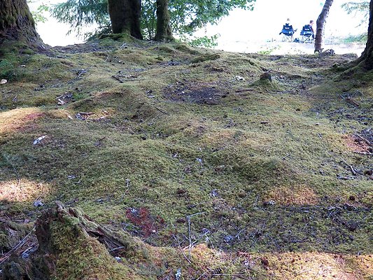 Horseshoe cove baker lake campground - 29