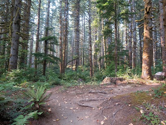 Horseshoe cove baker lake campground - 109