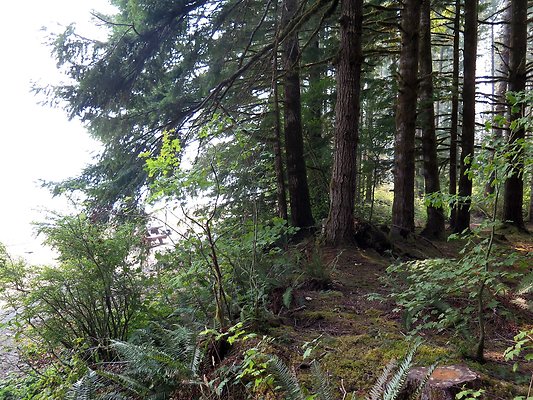 Horseshoe cove baker lake campground - 38