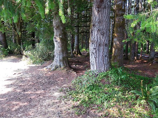Panorama point campground - 74