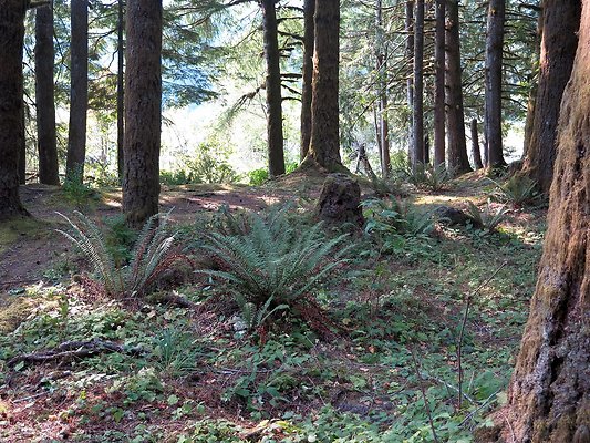 Panorama point campground - 97