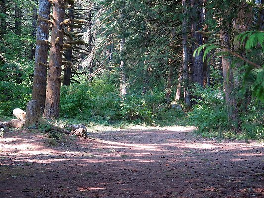 Panorama point campground - 58