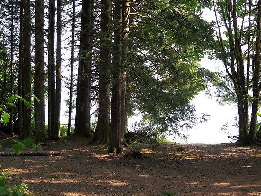 Panorama point campground - 29
