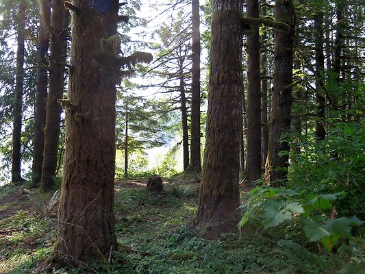 Panorama point campground - 36