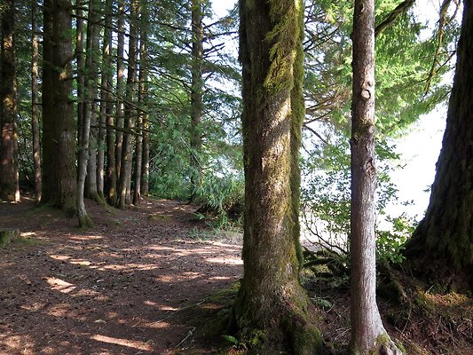 Panorama point campground - 89