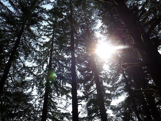 Panorama point campground - 38