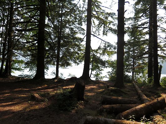 Panorama point campground - 34