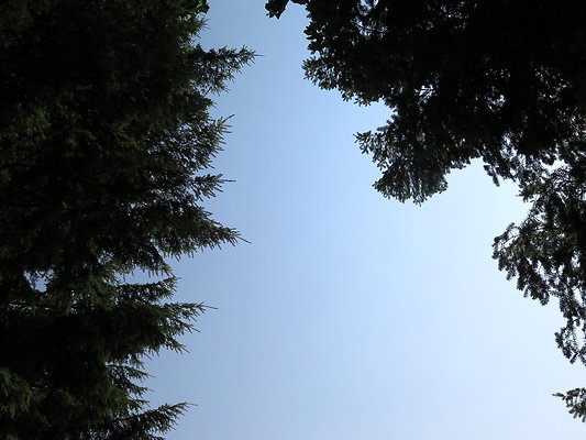 Panorama point campground - 64