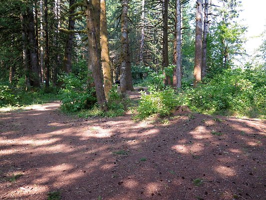 Panorama point campground - 48