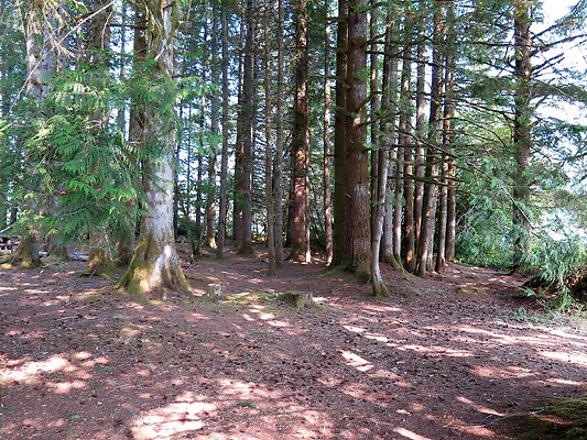 Panorama point campground - 88