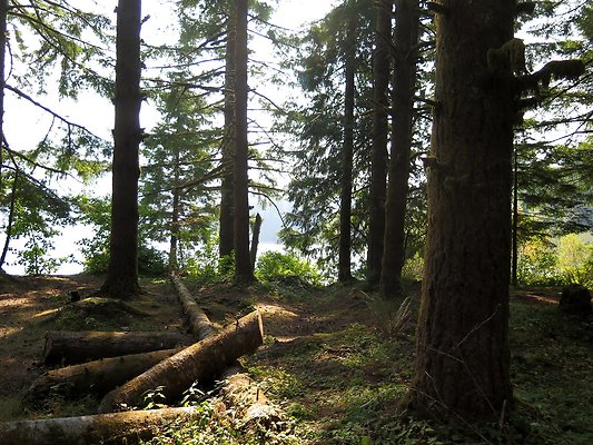 Panorama point campground - 35
