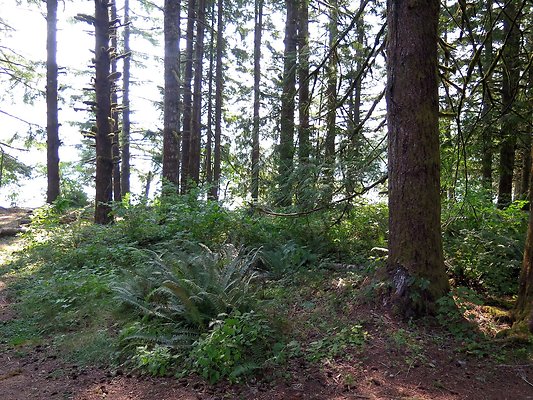 Panorama point campground - 25