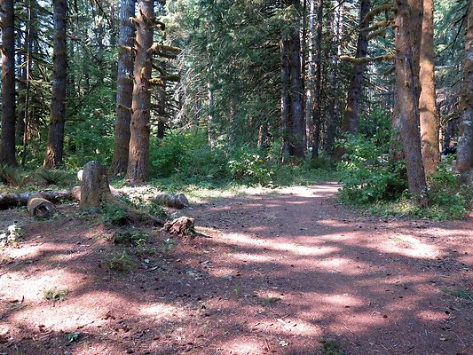 Panorama point campground - 47