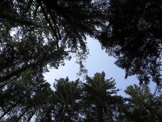 Panorama point campground - 51