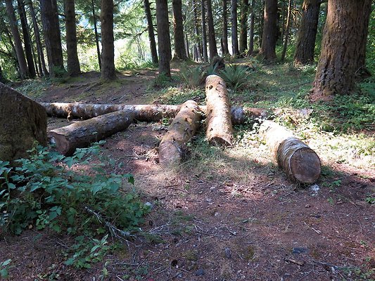 Panorama point campground - 95