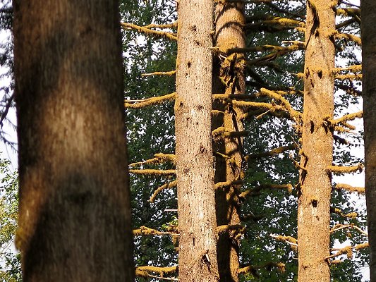 Panorama point campground - 94