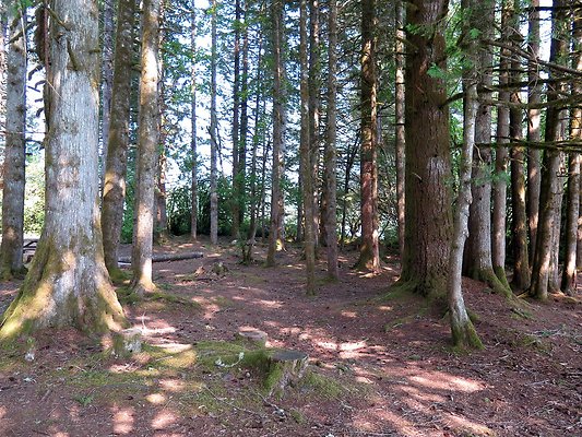 Panorama point campground - 57