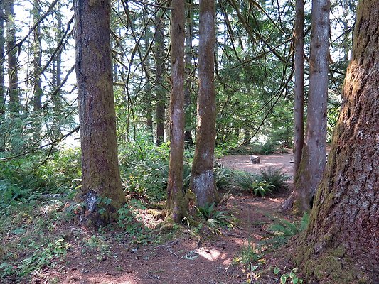 Panorama point campground - 26