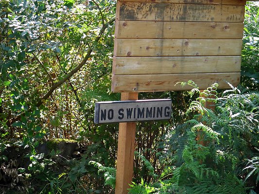 Panorama point campground - 5