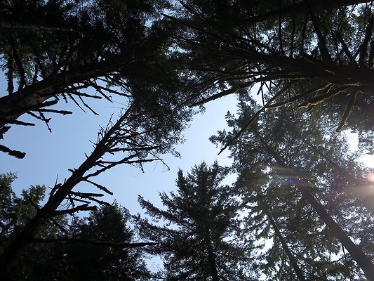 Panorama point campground - 37