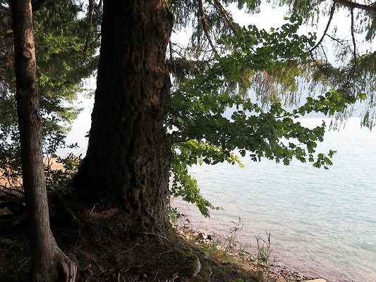 Panorama point campground - 90