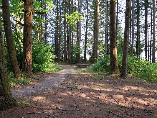 Panorama point campground - 22