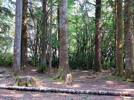 Panorama point campground - 39