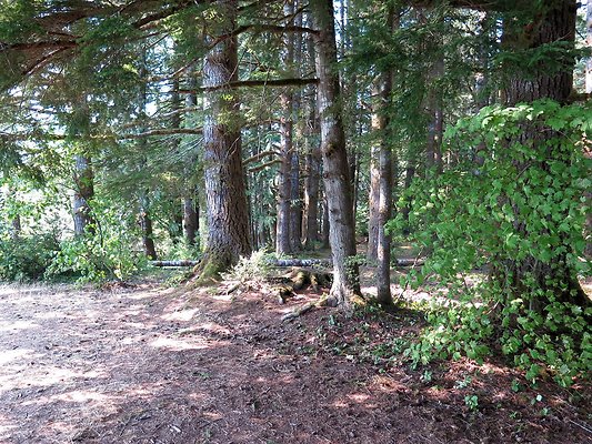 Panorama point campground - 84