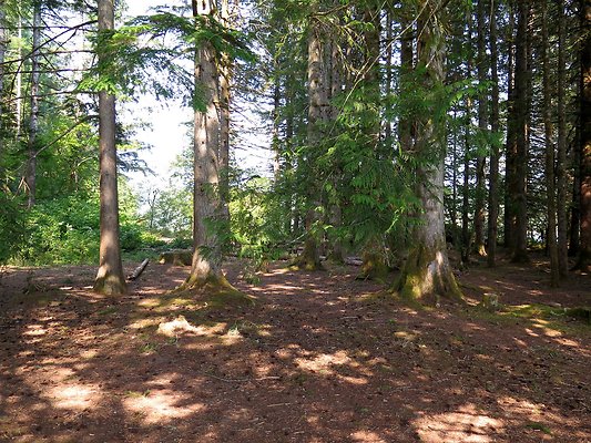 Panorama point campground - 87