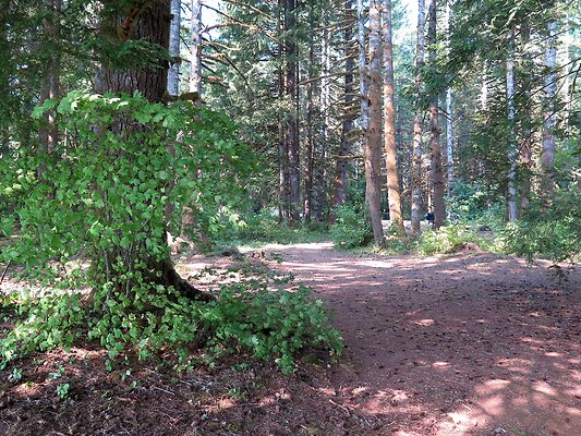 Panorama point campground - 85