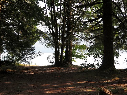 Panorama point campground - 30